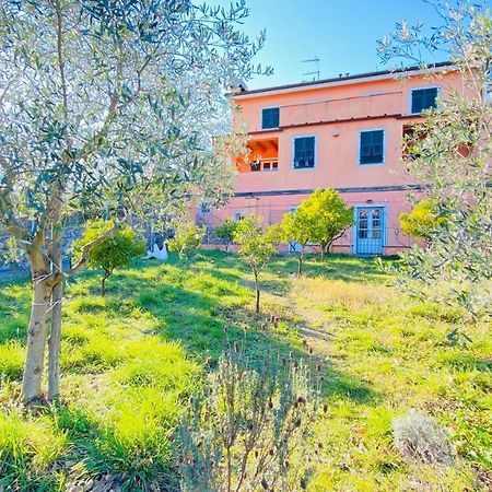 Villa Arancia Quiet, Central, Parking And Air Conditioning Levanto Eksteriør bilde