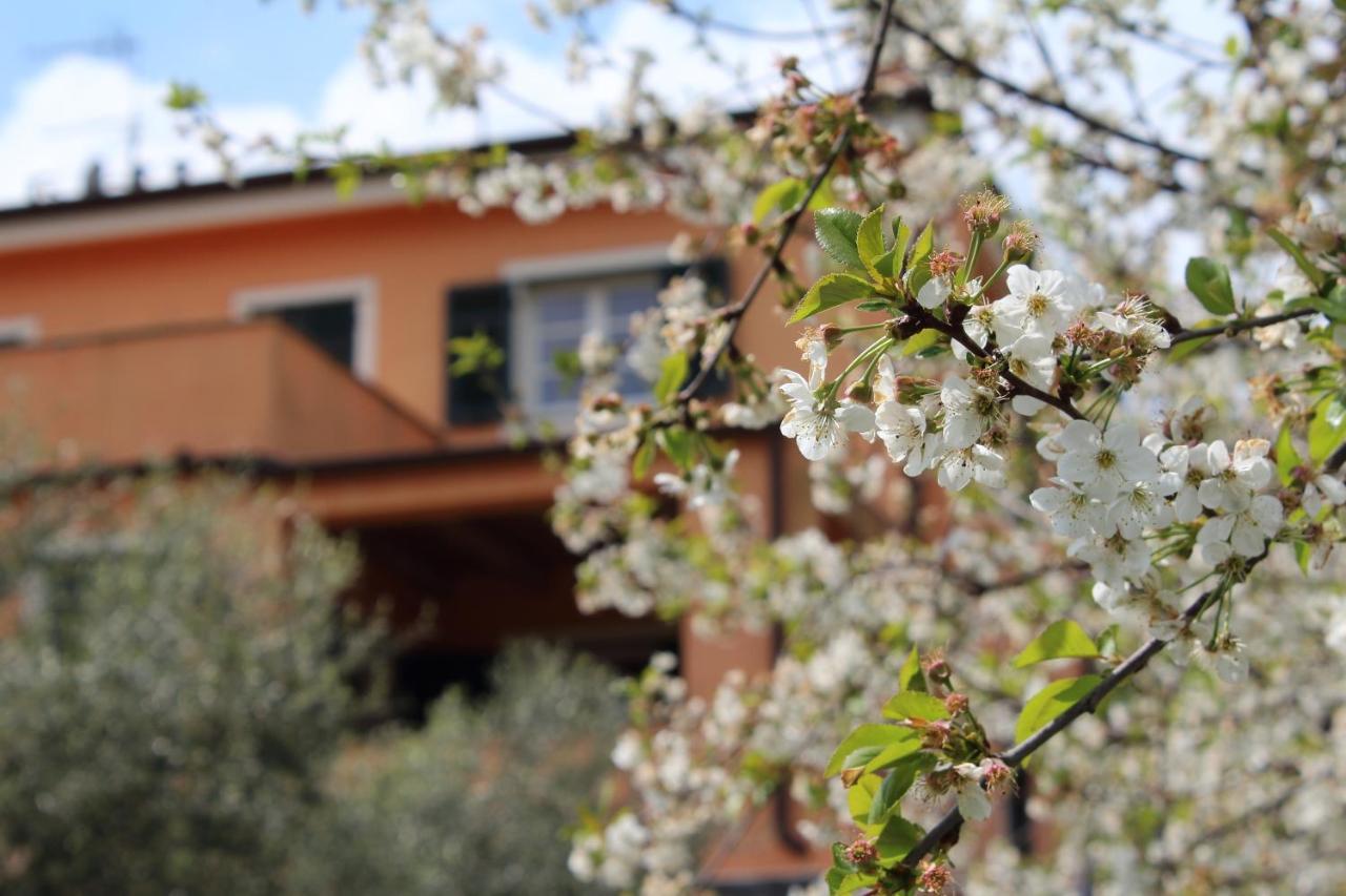 Villa Arancia Quiet, Central, Parking And Air Conditioning Levanto Eksteriør bilde