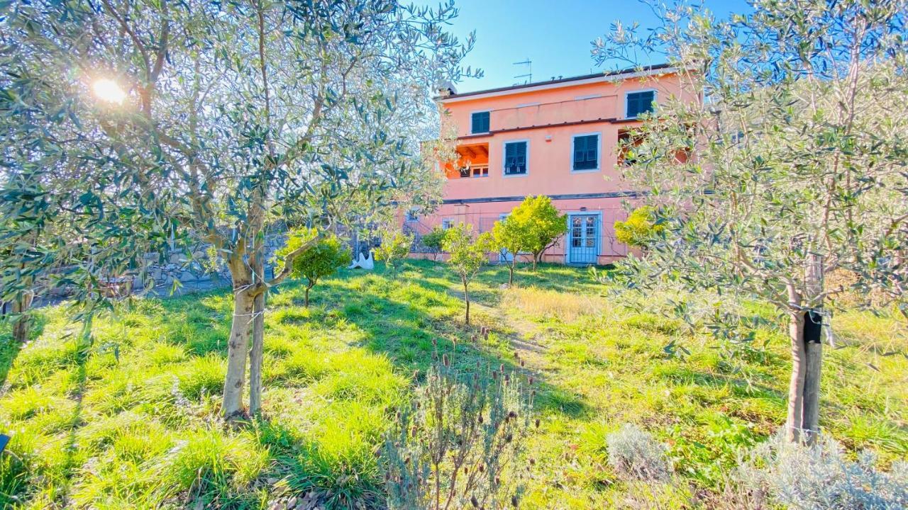Villa Arancia Quiet, Central, Parking And Air Conditioning Levanto Eksteriør bilde