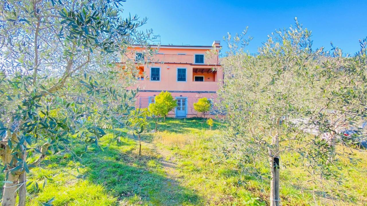 Villa Arancia Quiet, Central, Parking And Air Conditioning Levanto Eksteriør bilde