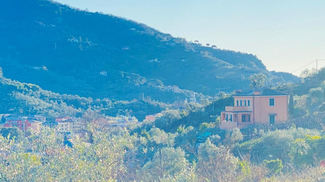 Villa Arancia Quiet, Central, Parking And Air Conditioning Levanto Eksteriør bilde