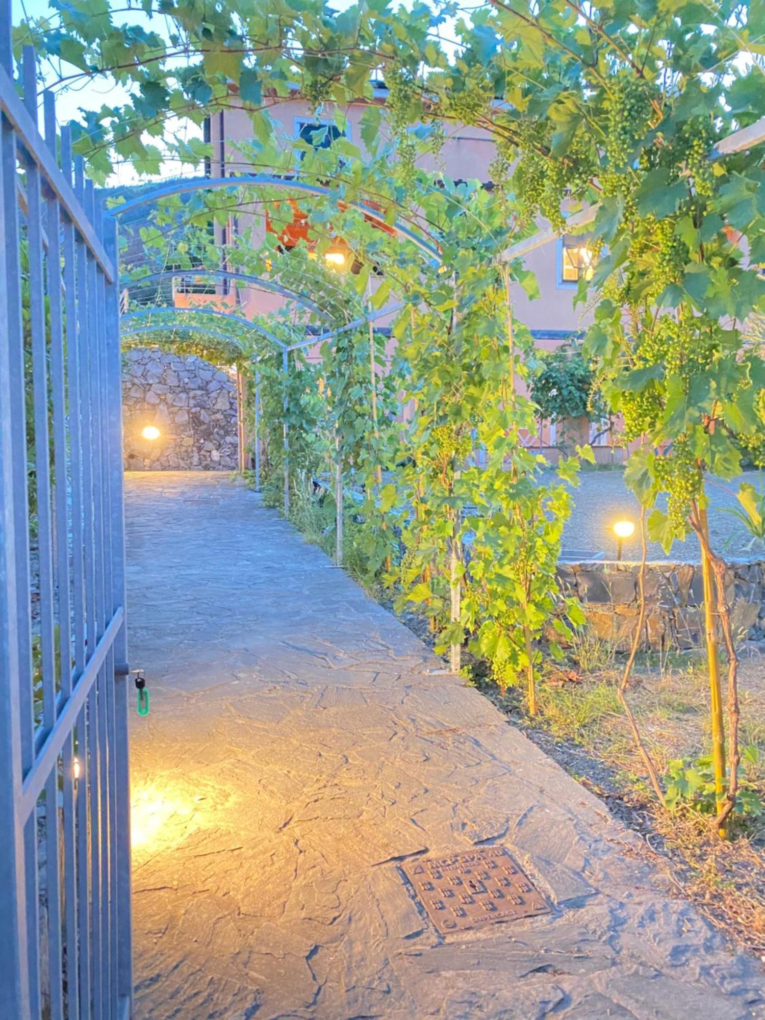 Villa Arancia Quiet, Central, Parking And Air Conditioning Levanto Eksteriør bilde